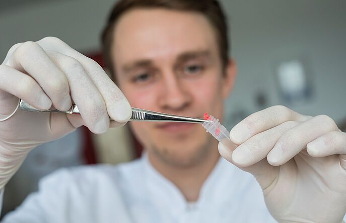 DNA Analysis of Cotton for GMO Detection at Hohenstein Hohenstein microbiologist extracts DNA from cotton in test tube