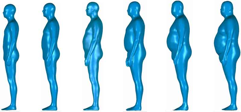 3D Scanning of Body Shapes for Fit Development 3D body scans images of 6 different men facing to the side